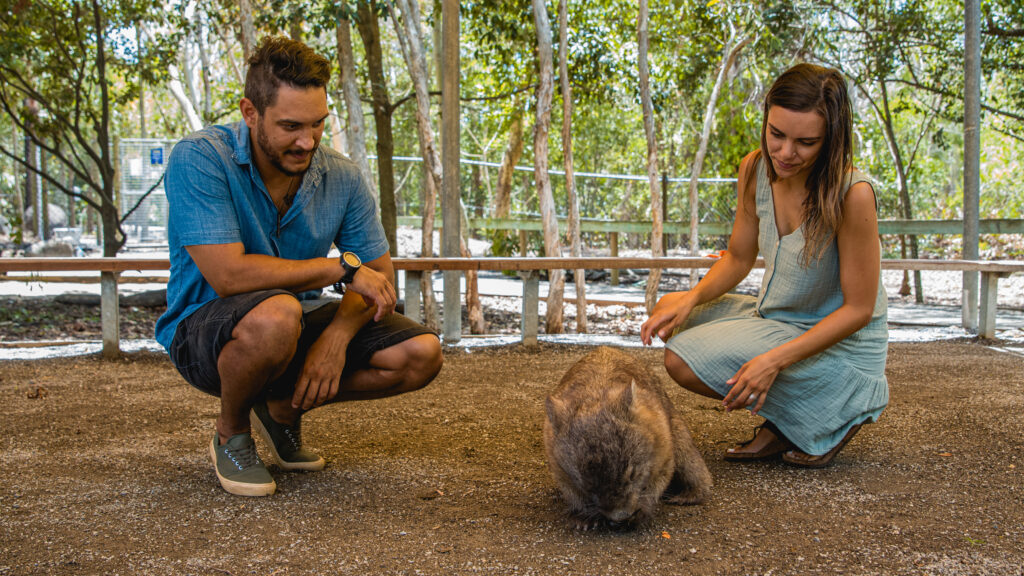 Mammal Magic