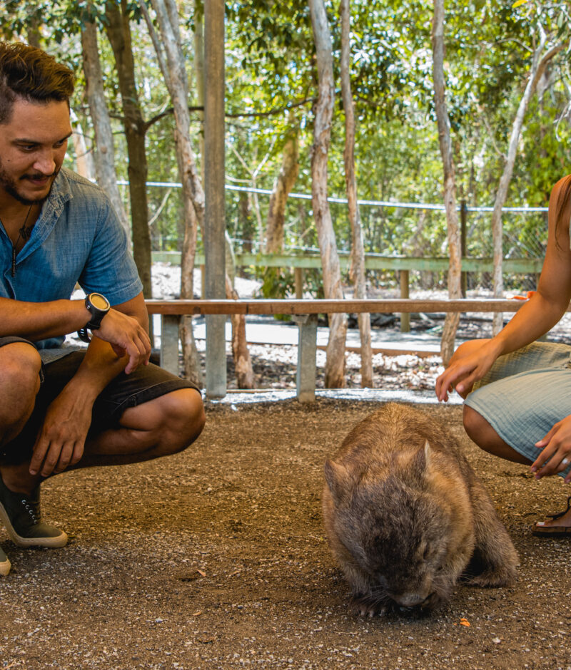 Mammal Magic