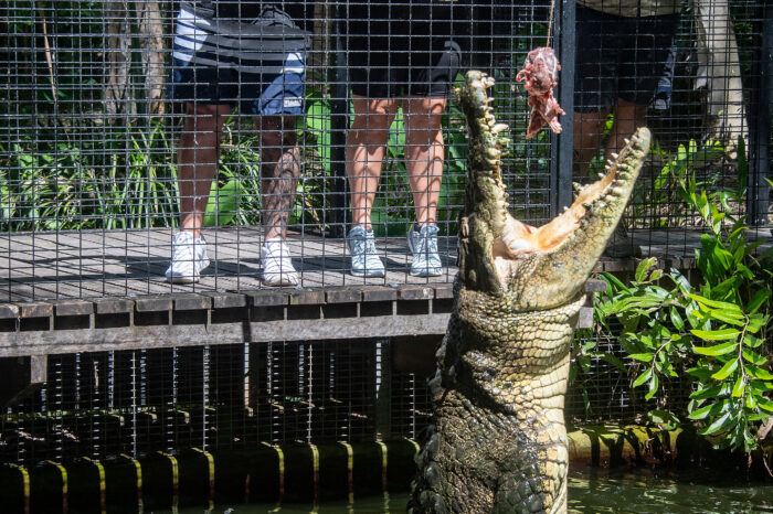 20220331_Hartleys_0616