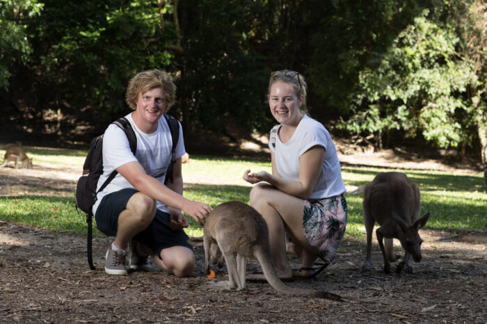 Hartleys Crocodile Adventures